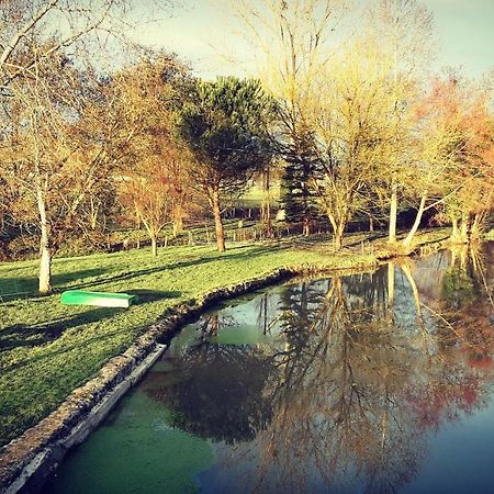 Gite Moulin De Lausseignan バルバスト エクステリア 写真