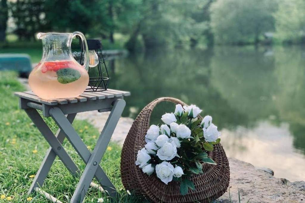 Gite Moulin De Lausseignan バルバスト エクステリア 写真