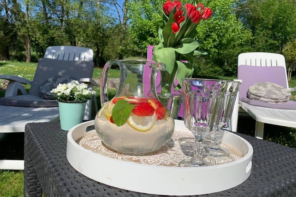 Gite Moulin De Lausseignan バルバスト エクステリア 写真