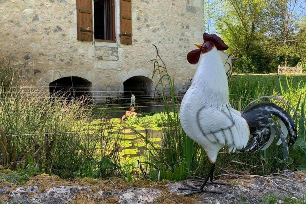 Gite Moulin De Lausseignan バルバスト エクステリア 写真