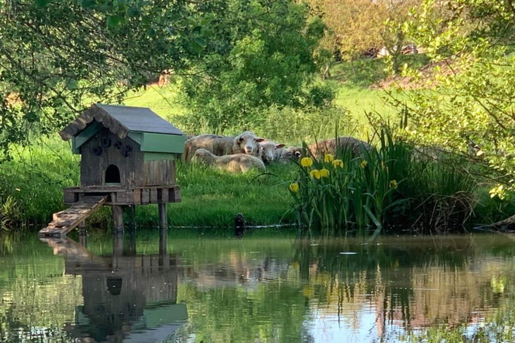 Gite Moulin De Lausseignan バルバスト エクステリア 写真