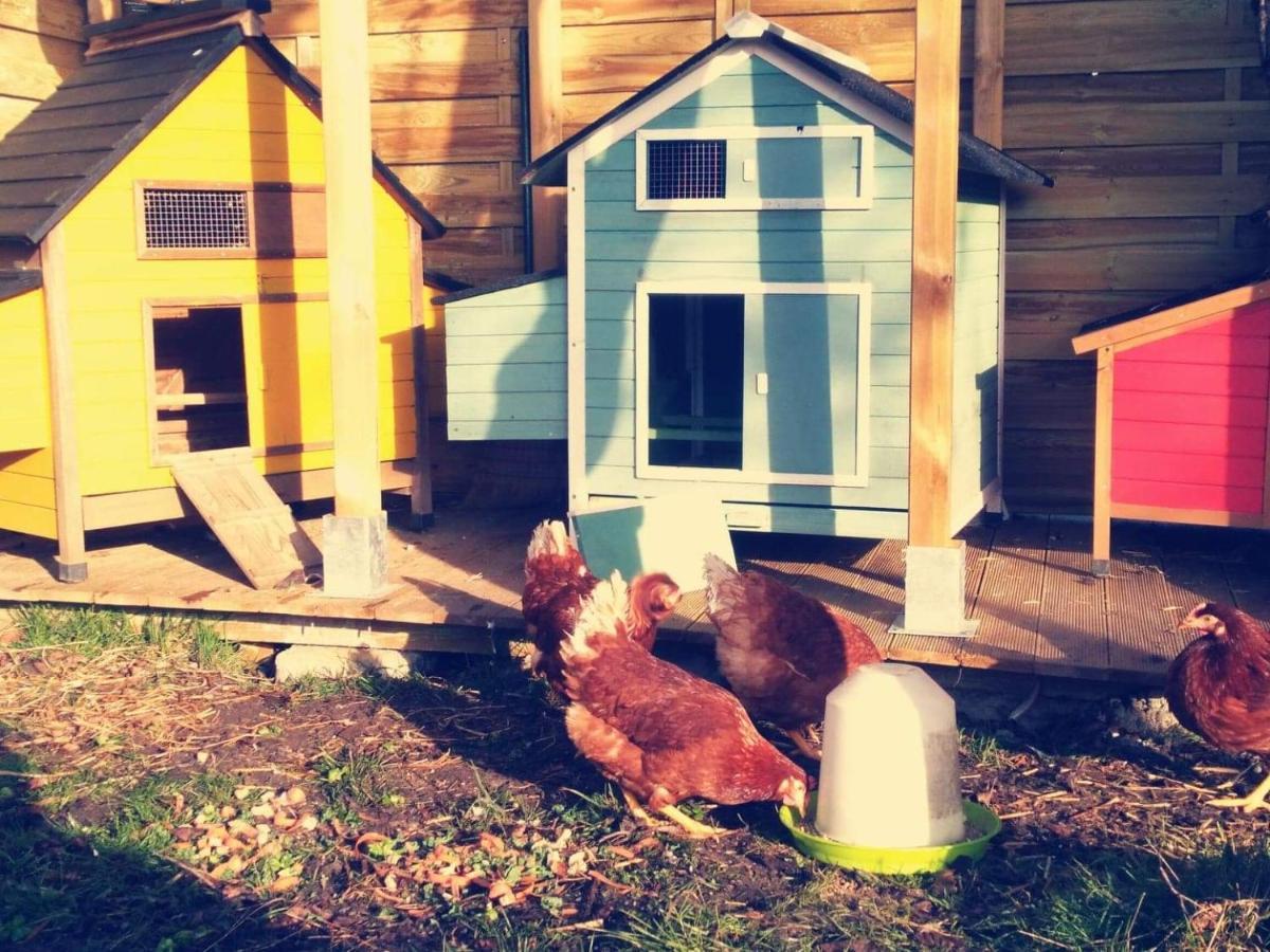 Gite Moulin De Lausseignan バルバスト エクステリア 写真